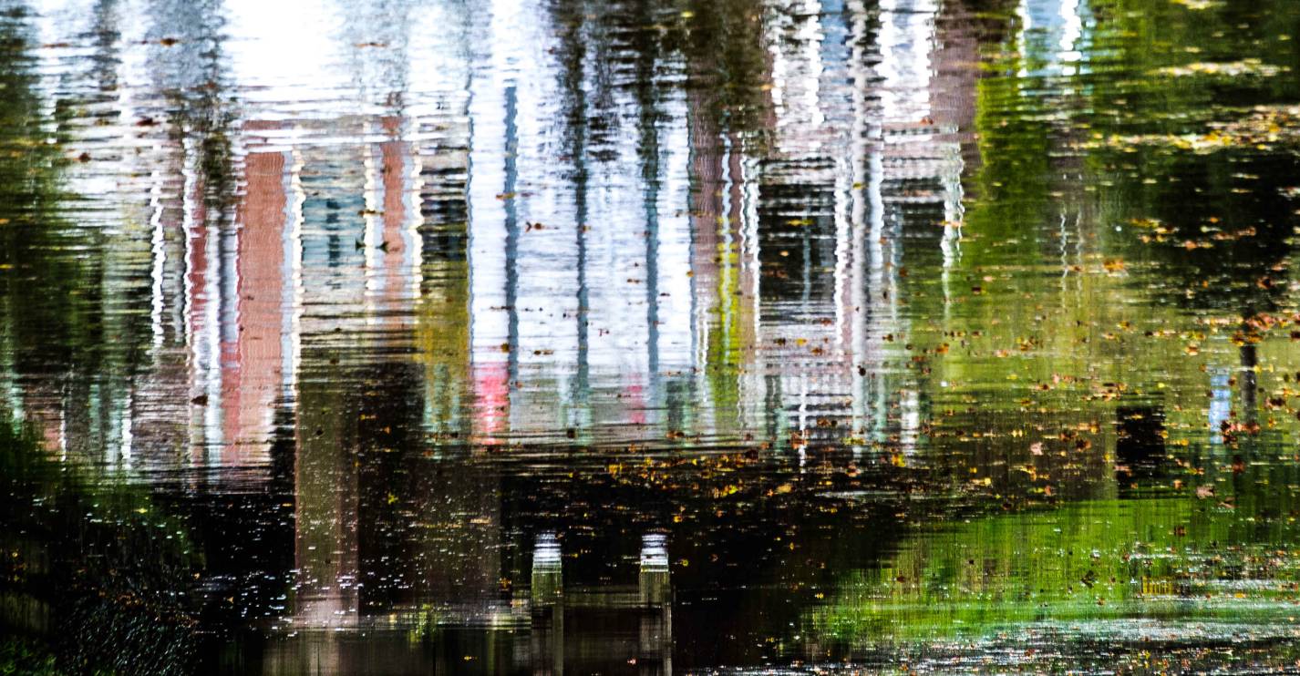 Expositie Droomsingel